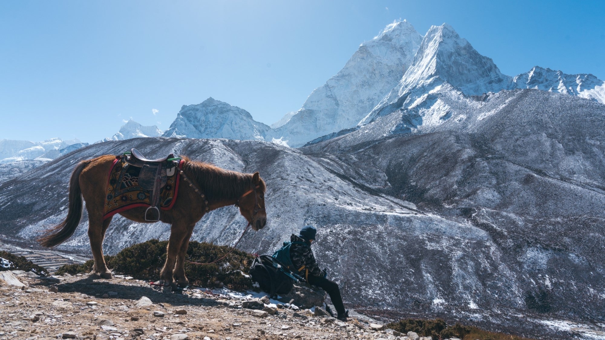 Camel’s Commitment to the Mountains: Exploration with Respect