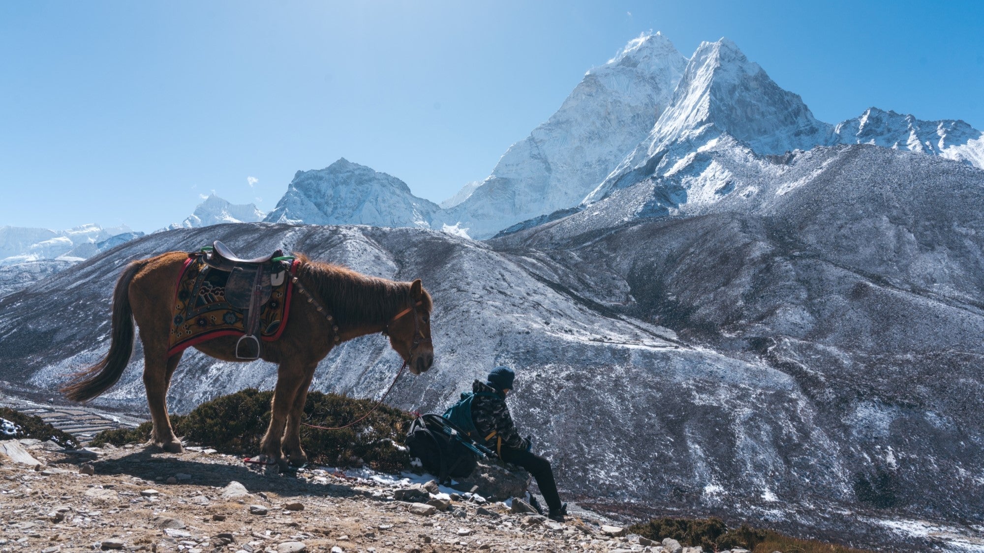 Camel’s Commitment to the Mountains: Exploration with Respect